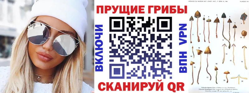 Псилоцибиновые грибы ЛСД  Купить где  Дубовка 